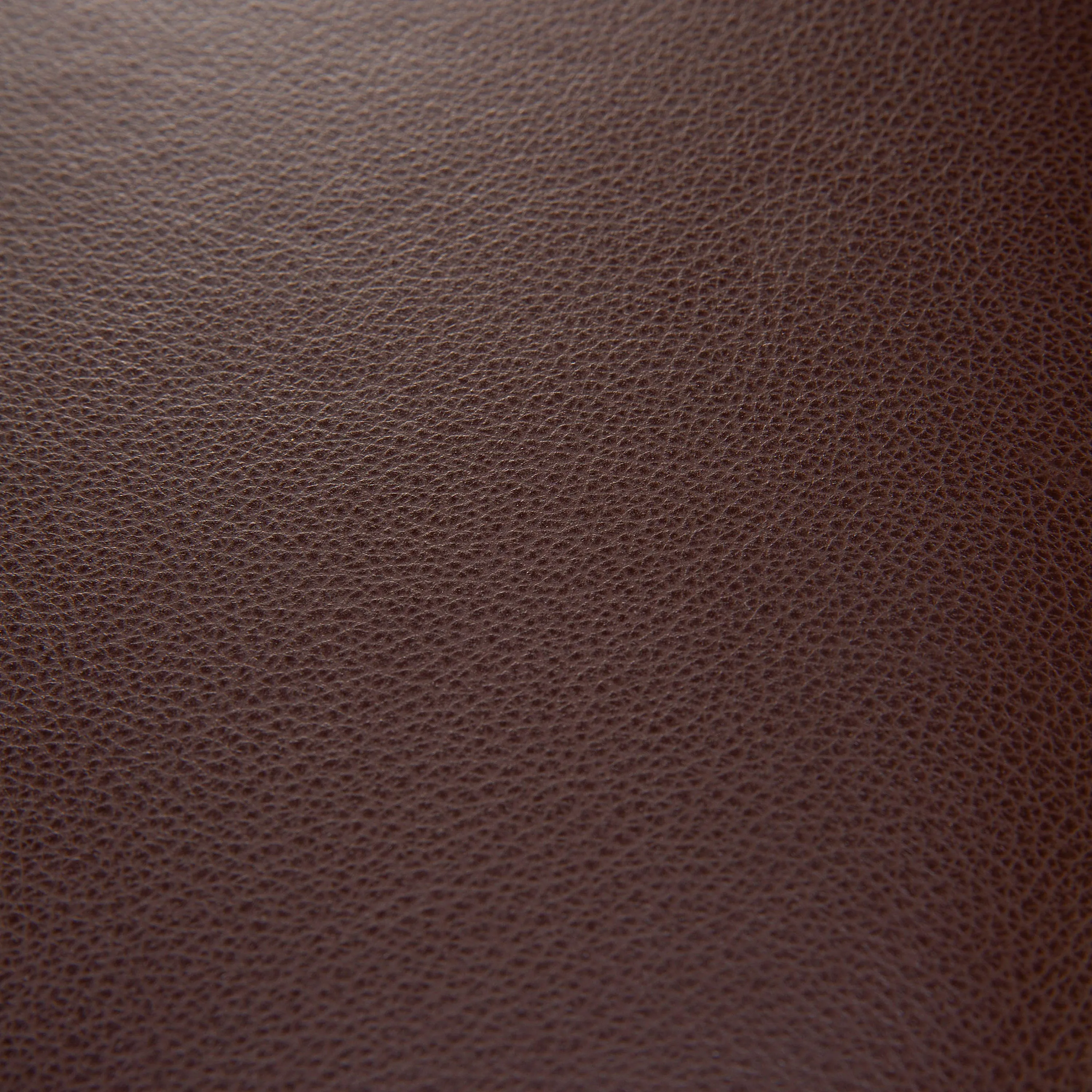 Anders Leather Dining Chair