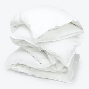 Bliss Comforters