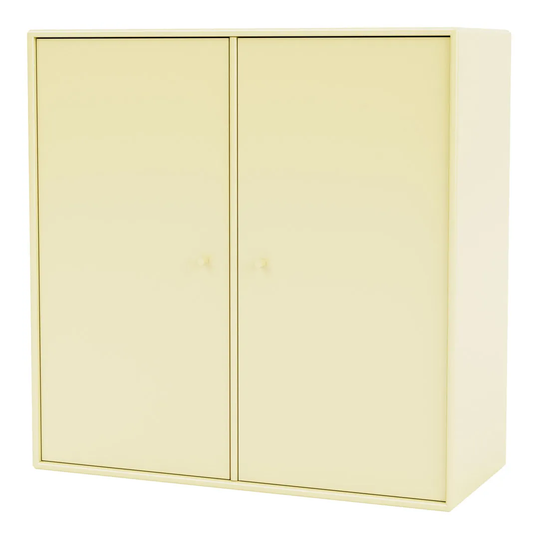 Cabinet 1118 - 2 Lacquered Doors