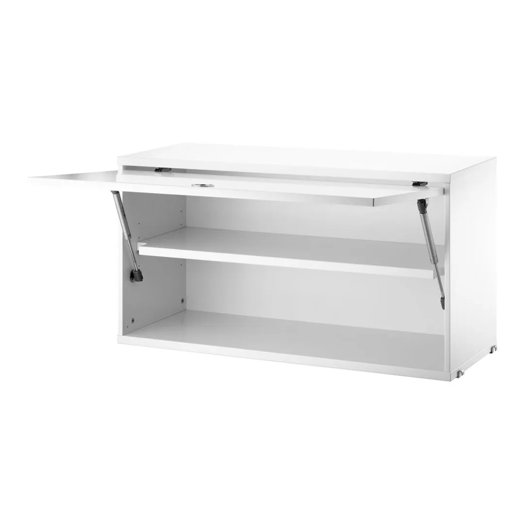 Cabinet with Flip Door