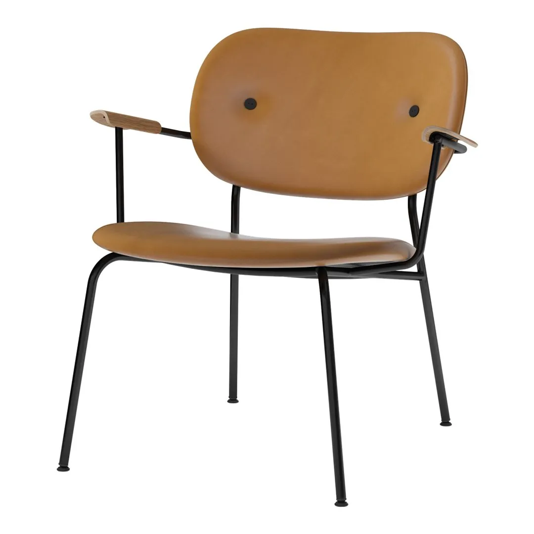Co Lounge Chair - Fully Upholstered