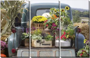 Country Delivery Wall Art - Multi Coloured - 45 X 30 - Set of 3