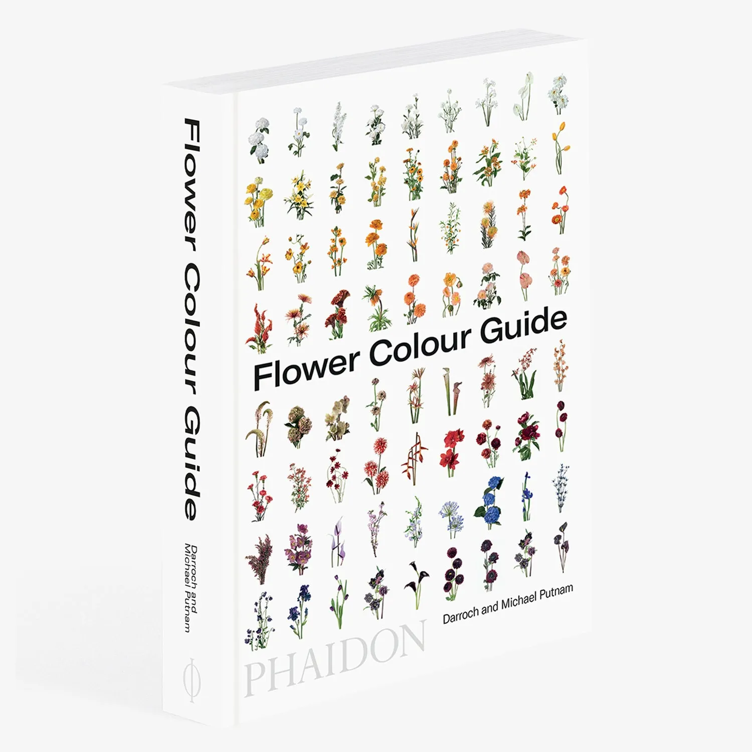 Flower Color Guide