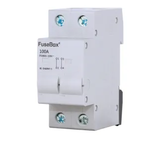FuseBox 100A 2P CONNECTOR