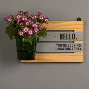 Hello Gorgeous with Vat69 Planter