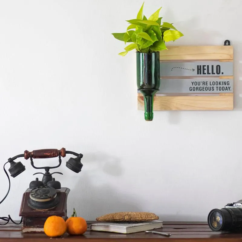 Hello Gorgeous with Wine Planter