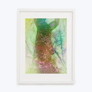 Hummingbird Framed