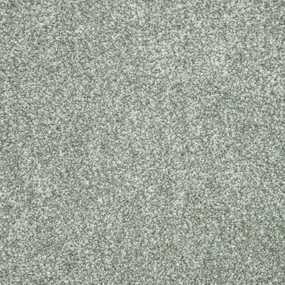 Ignis Carpet Clearance