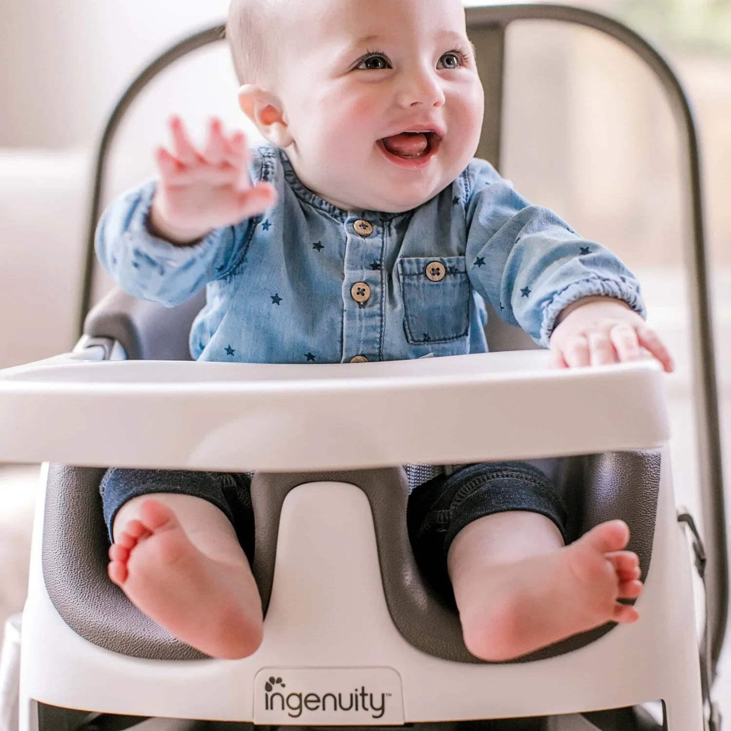 Ingenuity Baby Base 2-In-1 Seat