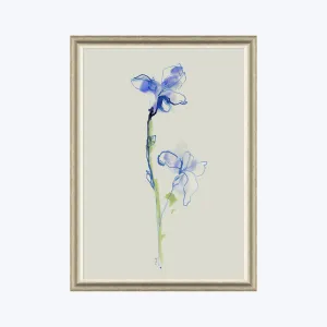 Iris Cuttings