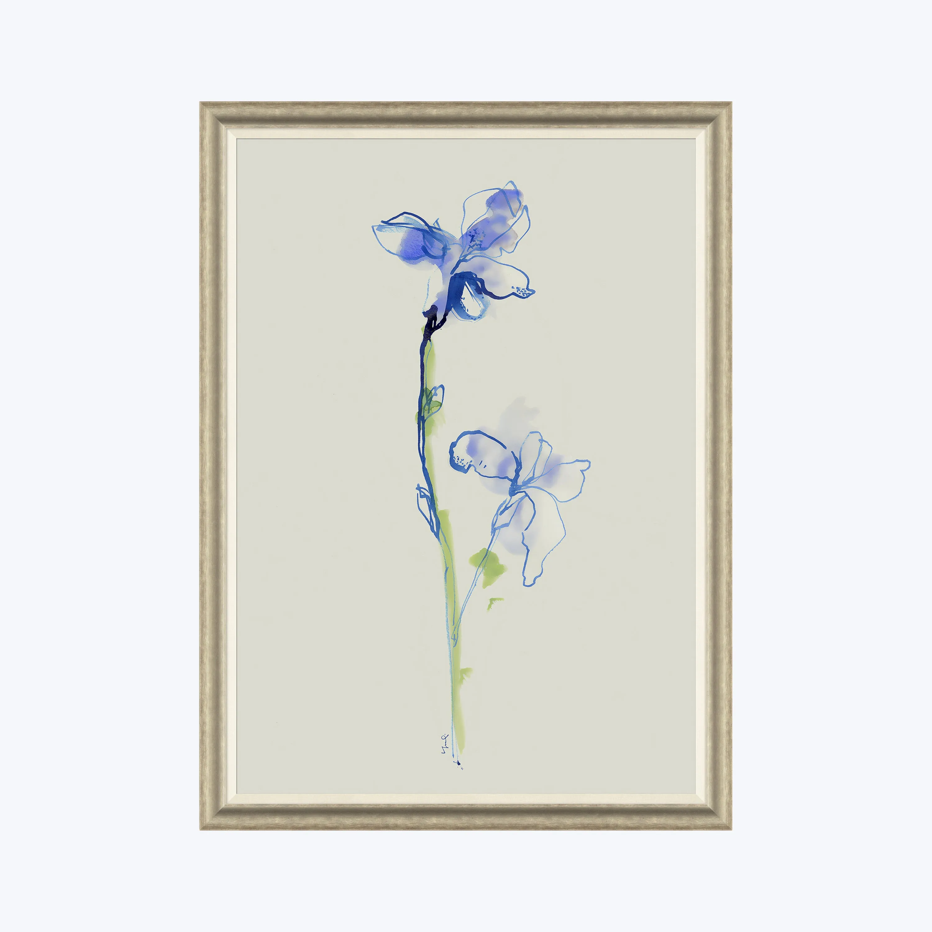 Iris Cuttings