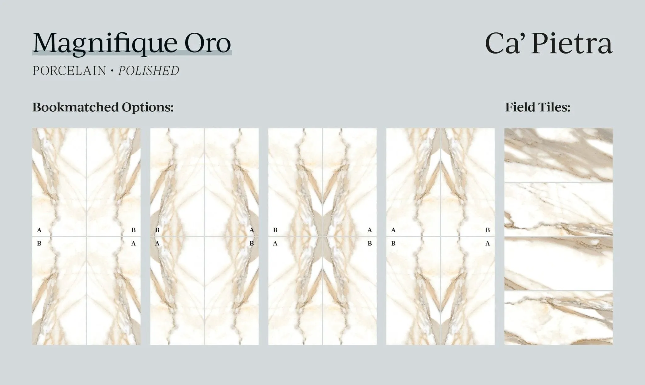 Magnifique Porcelain Oro