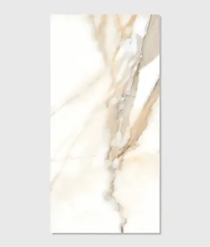 Magnifique Porcelain Oro