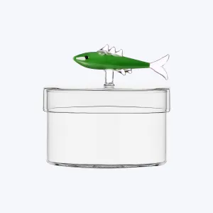 Marine Garden Box, Sardine Green