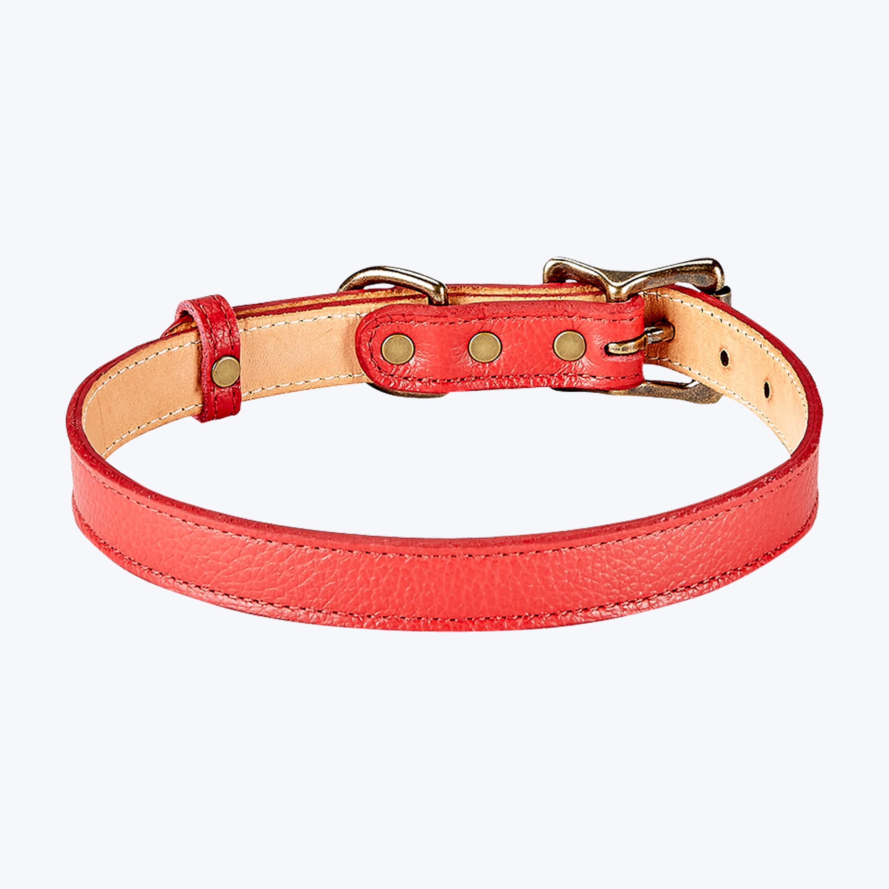 Medium Leather Dog Collar