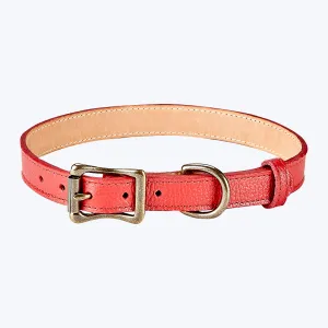 Medium Leather Dog Collar