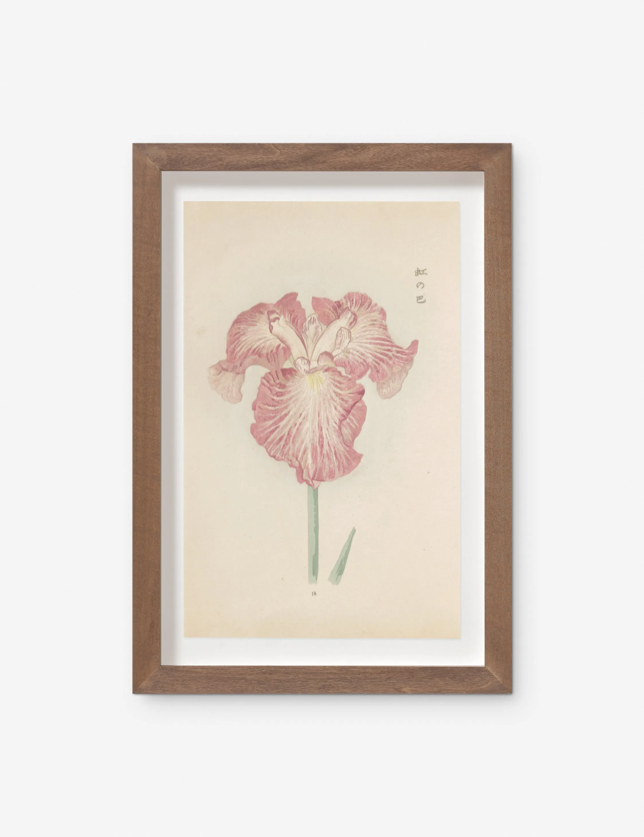 Vintage Japanese Iris No. 18 Wall Art by Miyoshi Manabu Lulu and Georgia