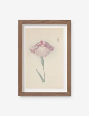 Vintage Japanese Iris No. 25 Wall Art by Miyoshi Manabu Lulu and Georgia