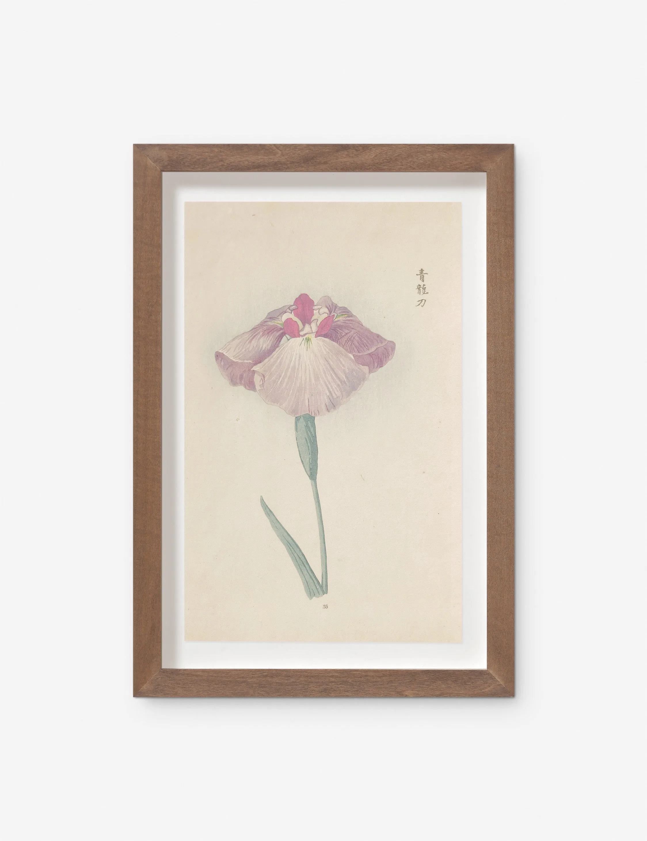 Vintage Japanese Iris No. 25 Wall Art by Miyoshi Manabu Lulu and Georgia