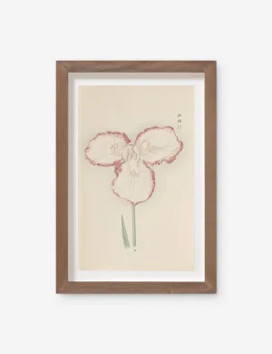 Vintage Japanese Iris No. 30 Wall Art by Miyoshi Manabu Lulu and Georgia