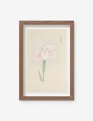 Vintage Japanese Iris No. 48 Wall Art by Miyoshi Manabu Lulu and Georgia