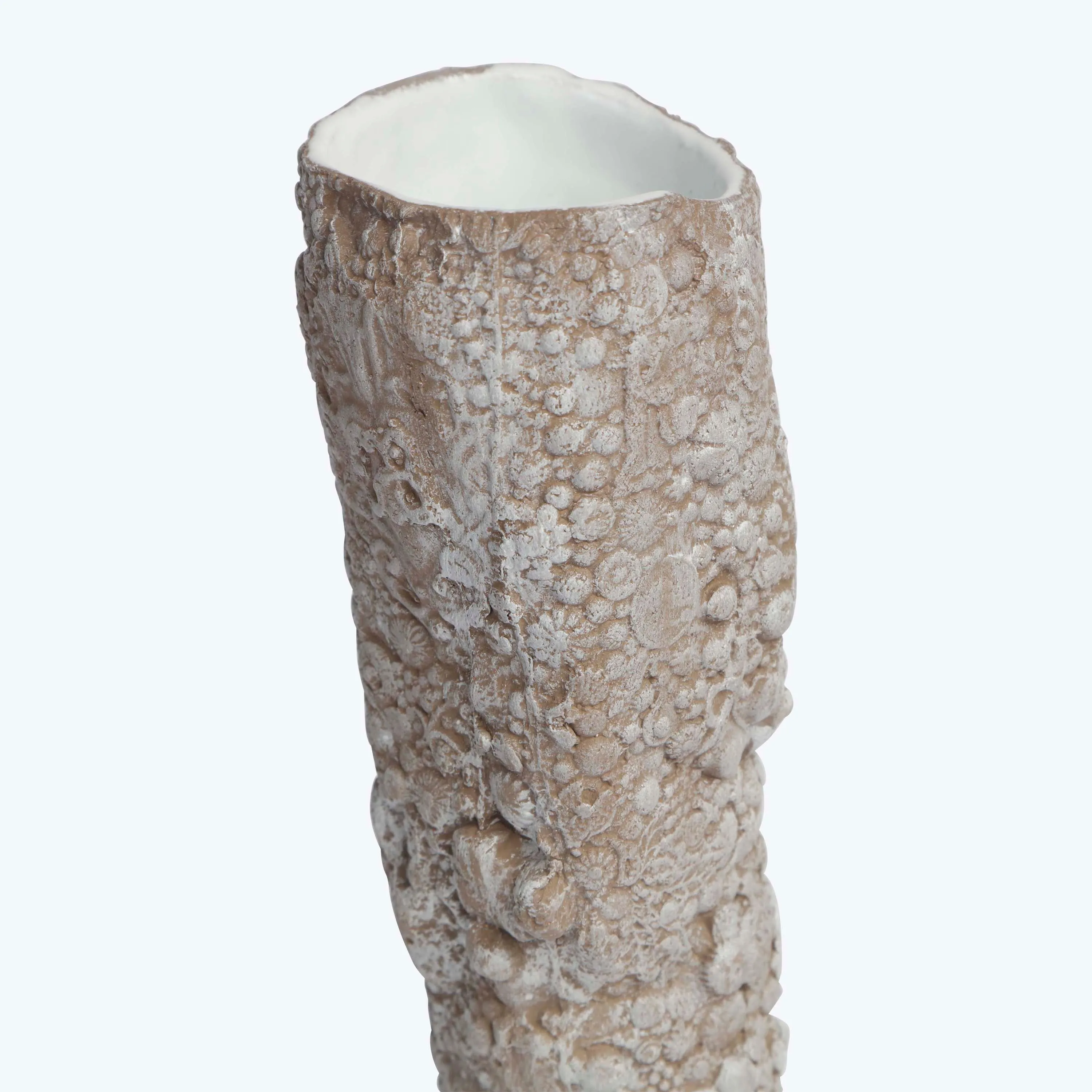 White Waxed Nautilus Vase