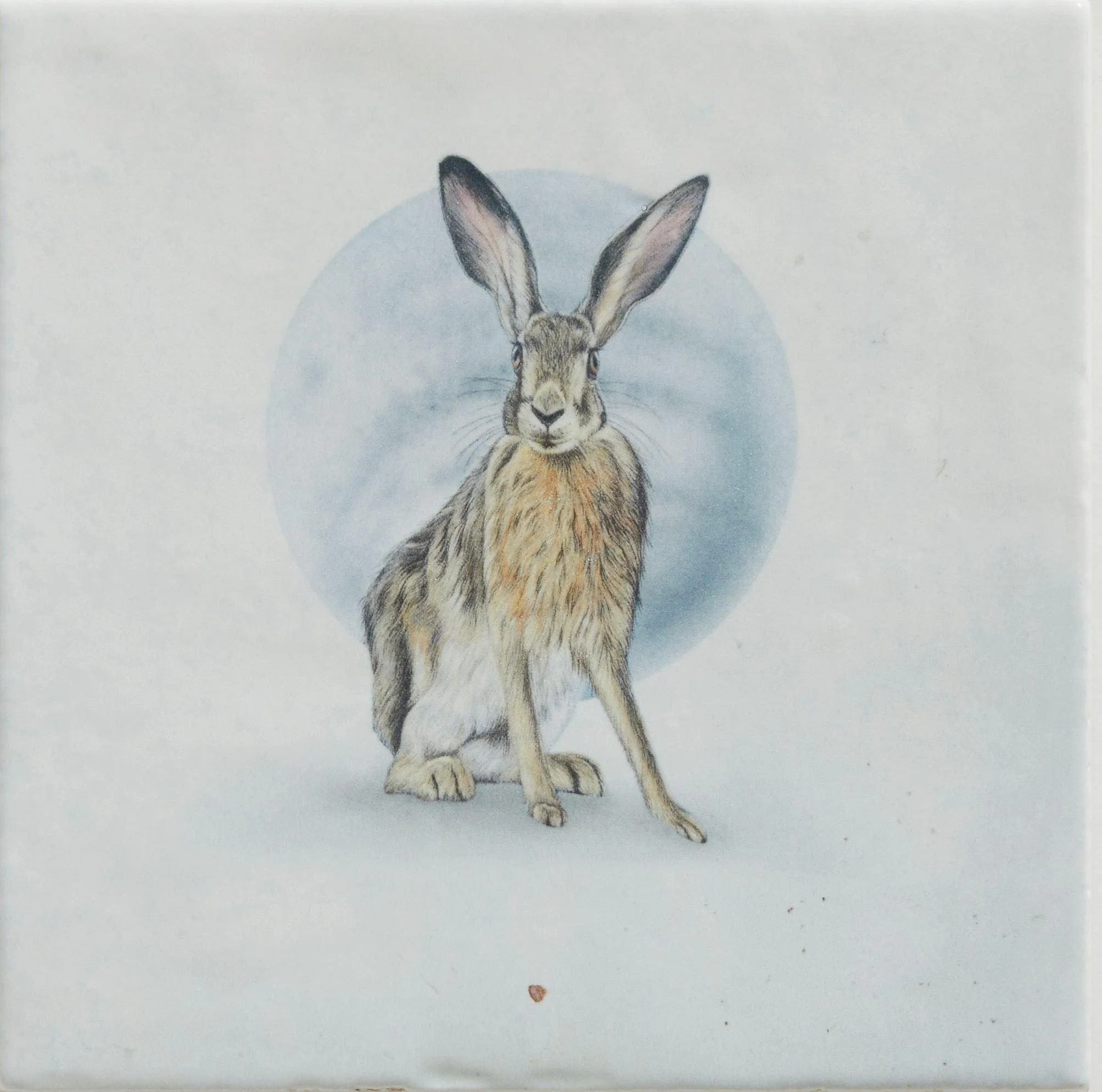 Wiltshire Hares By Joanna May